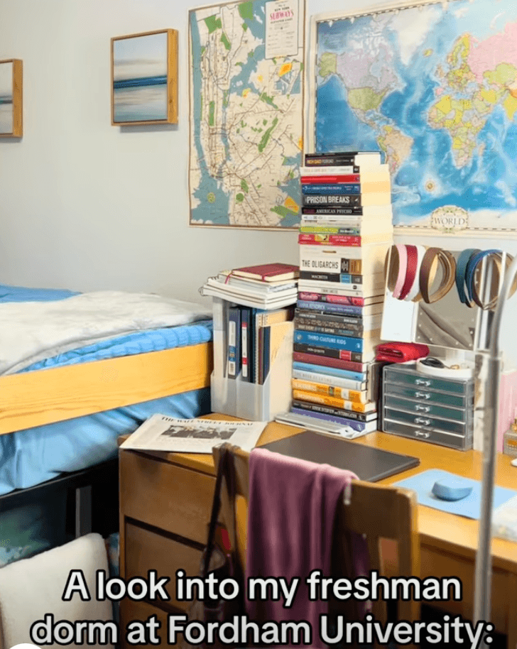 College Ambassador Program Example