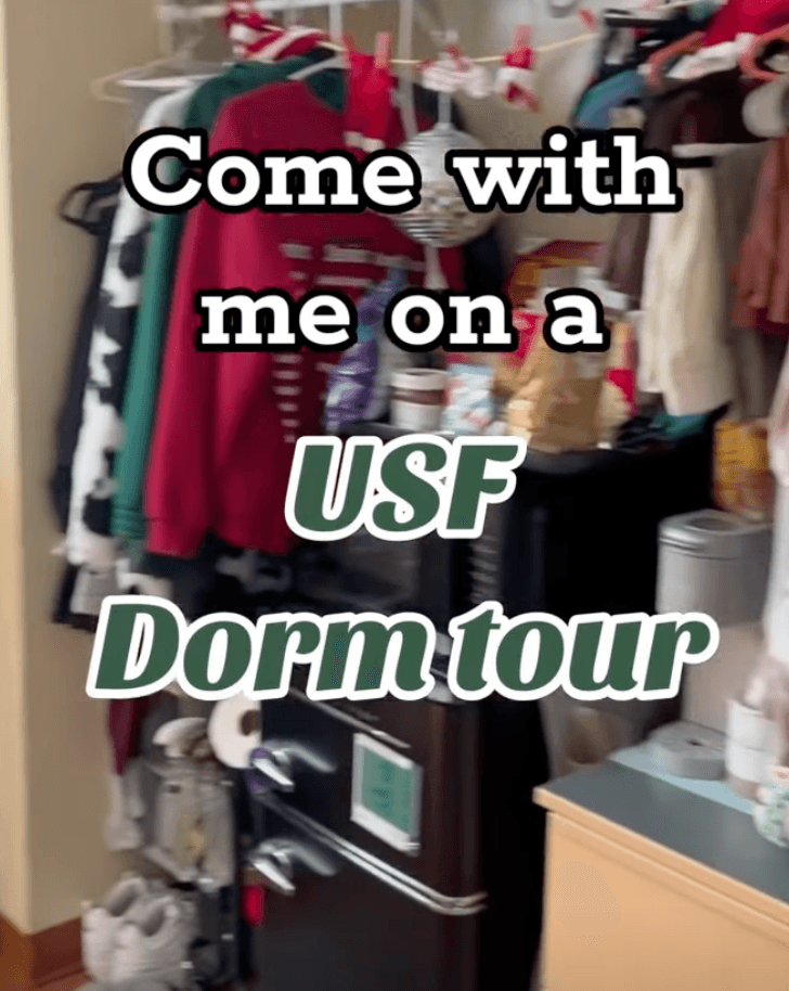 College Ambassador Program Example